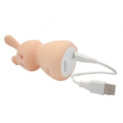 Veilleuse nomade et son port USB