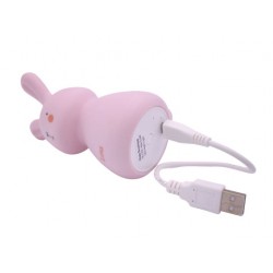 Veilleuse rose et son port USB