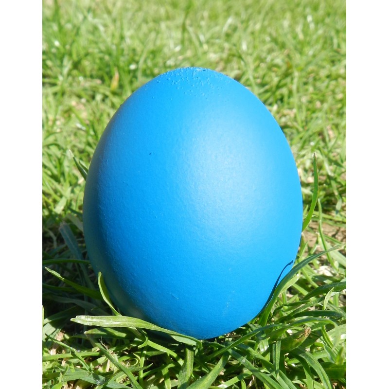 œuf à message surprise bleu canard