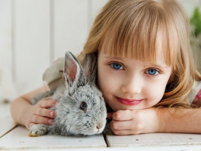 L’influence des animaux sur l’éveil des enfants 